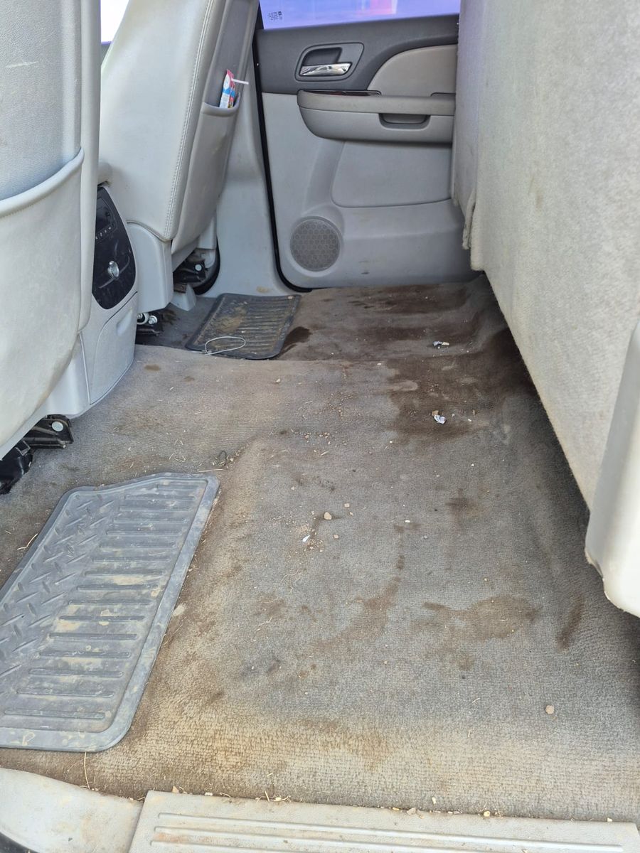 Rear carpet stains, before detailing